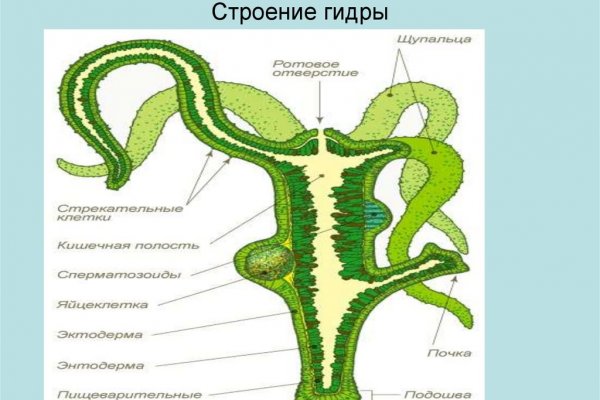 Kraken зеркало krakentor site