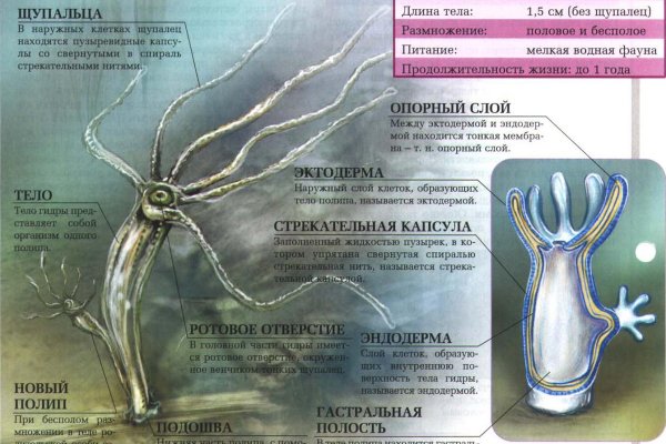 Кракен даркнет маркет ссылка на сайт тор