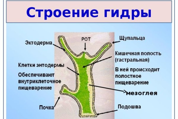 Кракен kr2web in